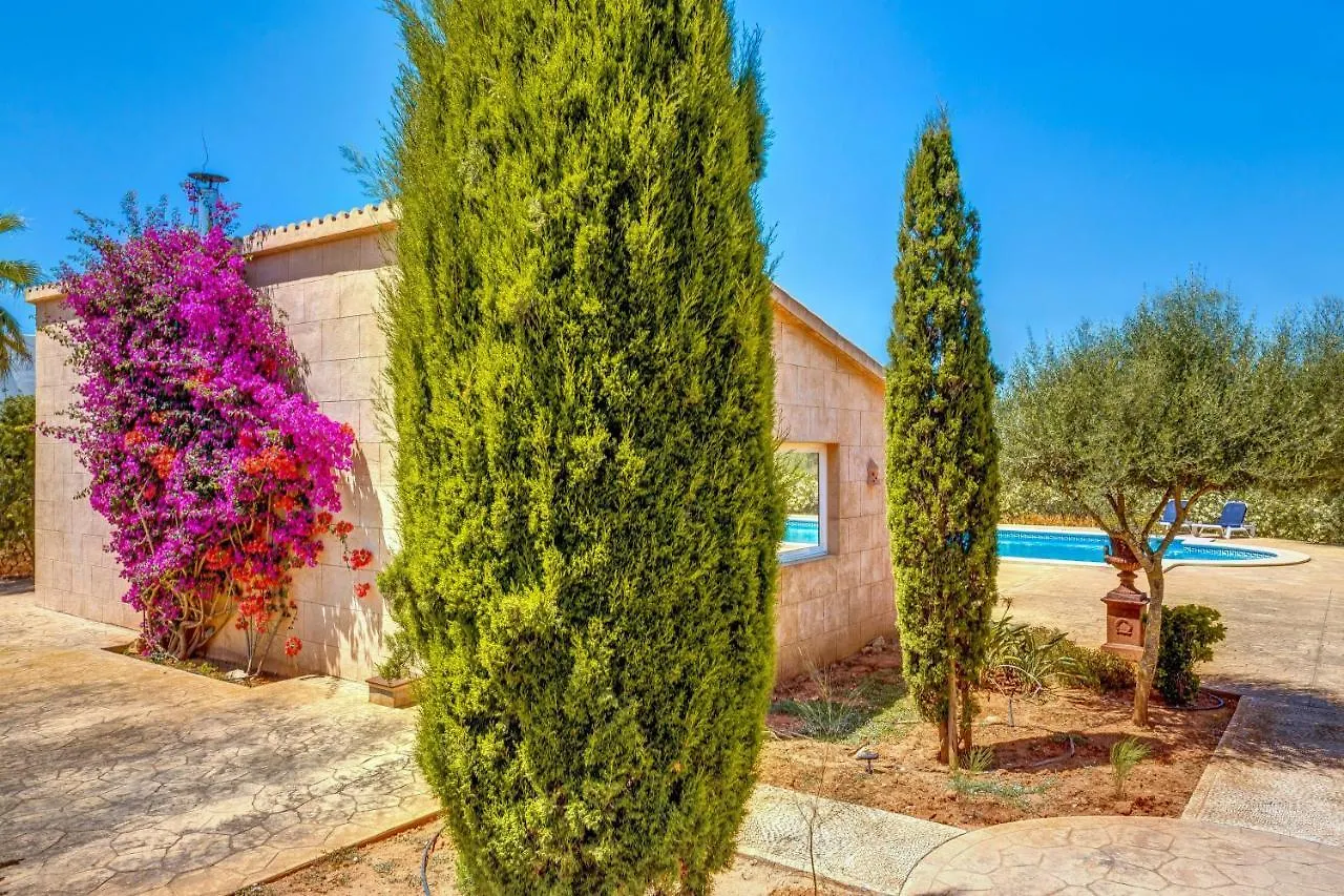 Apartamento Llimonera カンポス